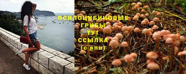 a pvp Беломорск