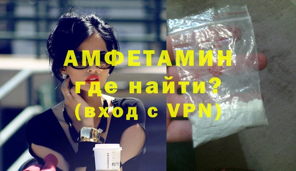 шишки Белокуриха