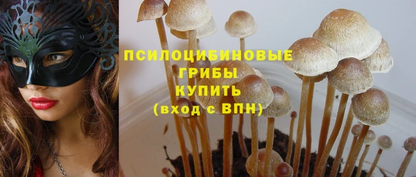 шишки Белокуриха