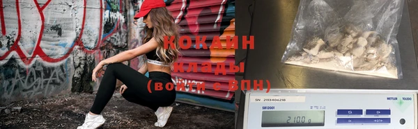 шишки Белокуриха